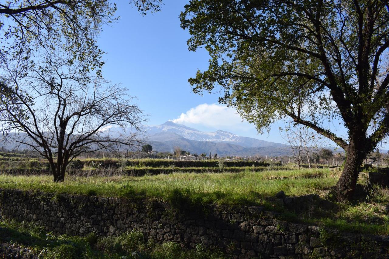 Etna Tra Le Querce Villa Santa Venerina Eksteriør bilde